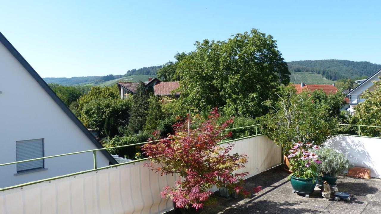 Eifelidylle Am Moselmaareradweg Lägenhet Wittlich Exteriör bild